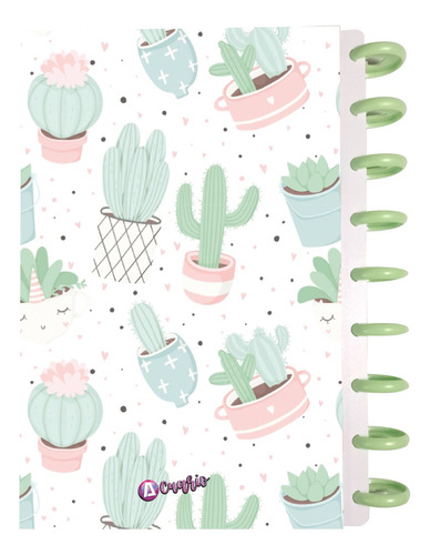 Cuaderno Discos T/frances 80hjs 105grs Pastadura 2 Separador Cactus