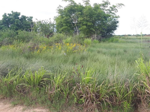 Venta Terreno La Calzada