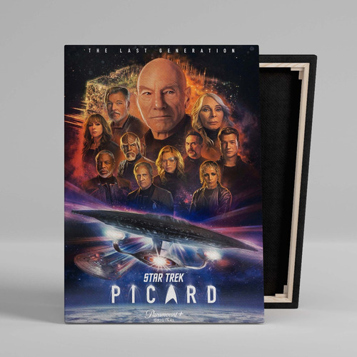 Cuadro Star Trek Picard Canvas Con Bastidor 60x40 Cm