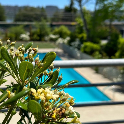 Imagen 25 de 25 de Arriendo Soleado Departamento En Pedro De Valdivia-concep.