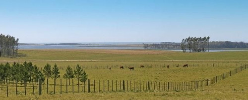 Quinta En Venta En Jose Ignacio