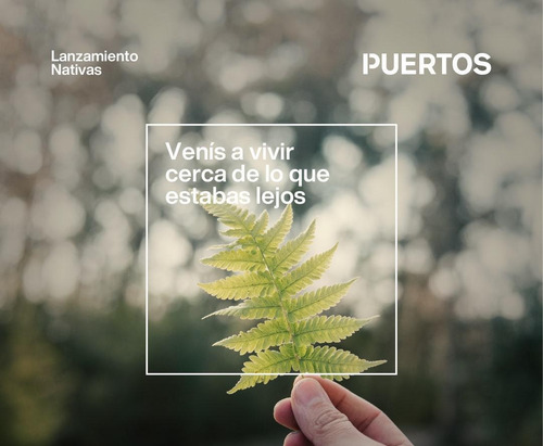 Imagen 5 de 25 de Lote Interno En El Nuevo Lanzamiento De Puertos Barrio Nativas