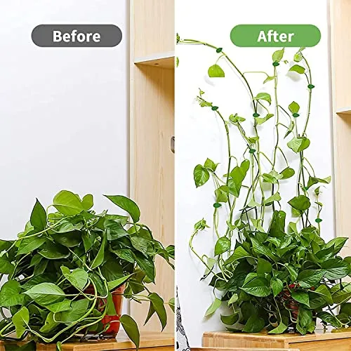 Pinzas Autoadhesivas Para Colocar Plantas Trepadoras En Pare