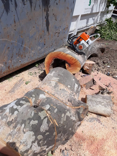 Imagen 9 de 10 de Poda, Tala, Extracción De Árboles/poda En Altura Zona Sur