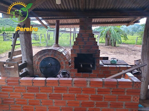 Imagem 14 de 15 de Fazenda À Venda Em Colniza -mt - 629,2 Hectares (dupla Aptidão) - 2108
