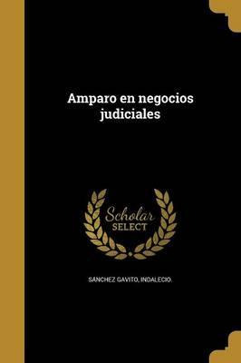 Libro Amparo En Negocios Judiciales - Indalecio Sanchez G...