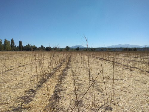 Campo De 18,2 Ha Con Agua, 690 M De Frente. Palmilla Vir.