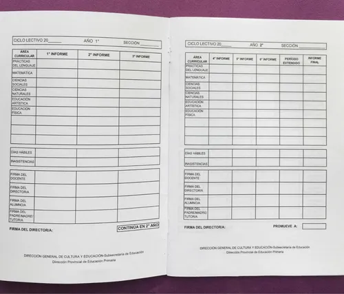 Boletín Primaria Primer Ciclo Pcia Bs As