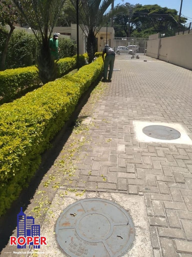Imagem 13 de 16 de Excelente Apartamento Com 44 M²/2 Dormitórios À Venda Ou Locação No Brás Próximo Ao Metrô!! - Ap0589-a - 34651757