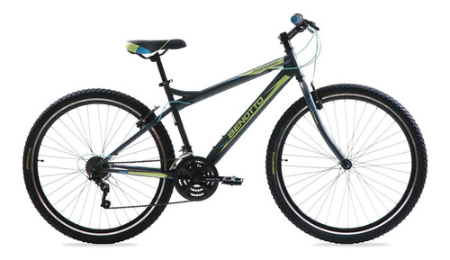 Bicicleta Benotto Montaña Progression R29 21v Frenos  V 