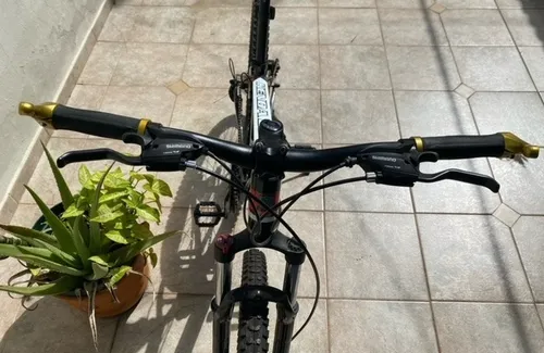 Bicicleta Rin 29 Mtb