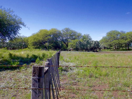 Casa Y Campo 4 Hectáreas, 150 Mts Cubiertos. Plantación De Tunas En Producción. Oportunidad Venta/permuta