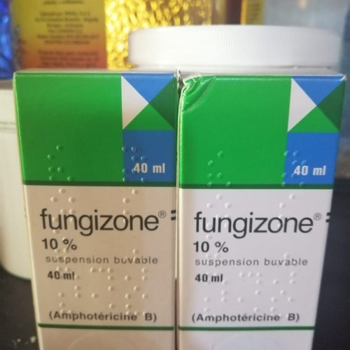 Anfotericina B Fungizone