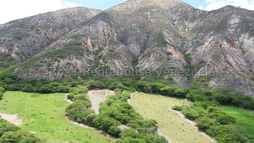 Imagen 16 de 30 de Terrenos En Venta En Moran 04245565759