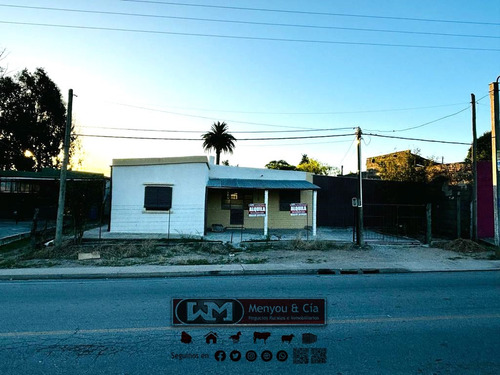 Venta Casa Trinidad Flores 2 Dormitorios Grandes Y Luminosos + Patio Verde Con Arboles Frutales + Galpón Con Cochera Doble