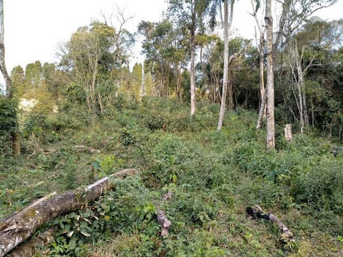 Imagem 5 de 6 de Cód 3907- Ótimo Terreno De 920 M² - 3907