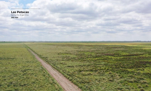 Campo De 255 Hectáreas En Las Petacas, Santa Fe