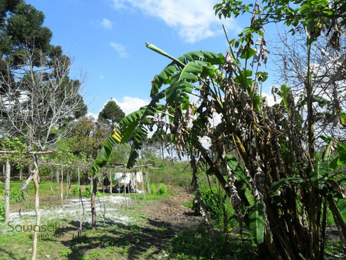 Imagem 5 de 11 de Terreno Lote Para Venda Em Centro Mandirituba-pr - 5702