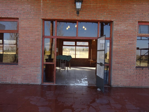 Imagen 5 de 30 de Espectacular Campo Con Loteo, House Restaurante Y Viñedos