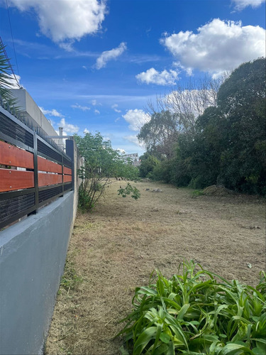 Se Alquila Terreno En Carrasco Norte