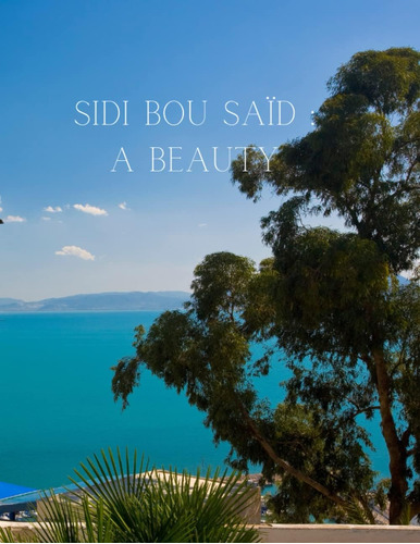 Libro: Sidi Bou Saïd : A Beauty: A Decorative Book Ideal For