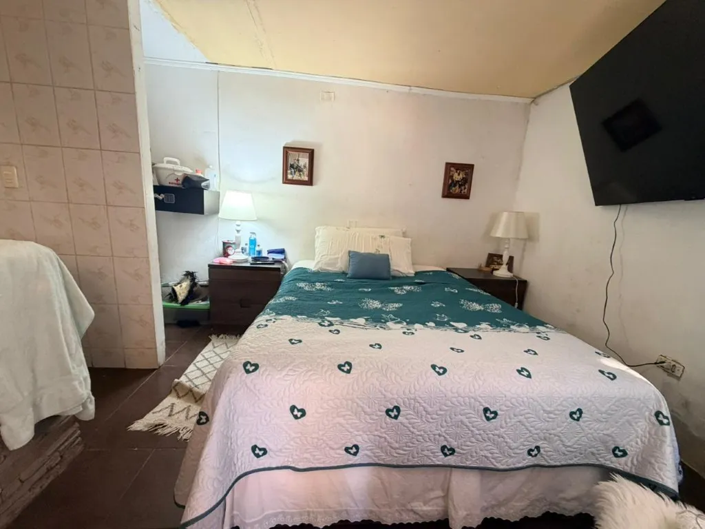 Imagen 3 de 14 de Venta De Propiedad Pareo Continuo En Troncos Viejos