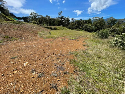 Lotes Para Venta En Rionegro (18246).