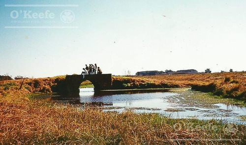 Campo En Venta De 50 Has En Carlos Keen - A 1 Hora De Caba