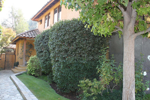 Imagen 1 de 20 de Excelente Casa En Camino De Cintura