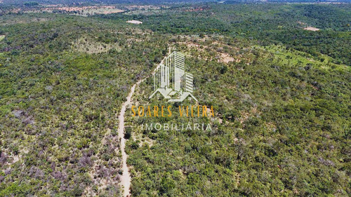 Fazenda Com 685 Hectares À Venda Em Jequitiba / Cordisburgo
