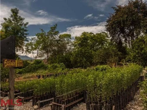 Encantador Lugar, Con Un Diseño Artístico(mls#238626)