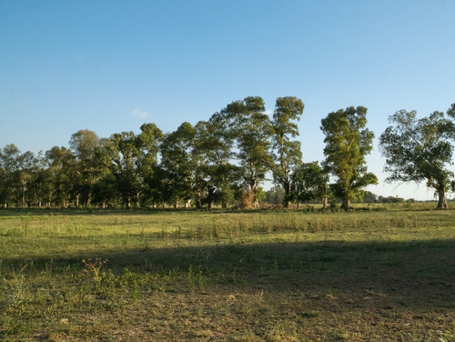 Imagen 7 de 10 de La Eugenia!! Lotes De 600 Mts².