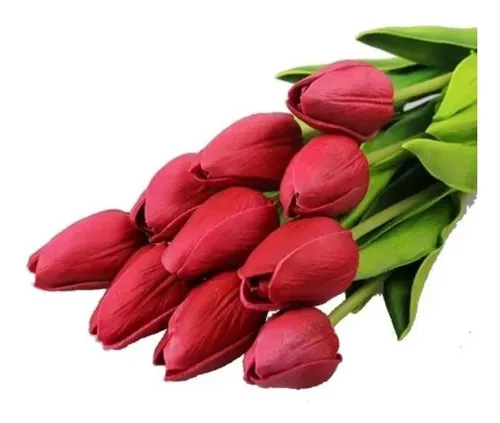Buquê de tulipas vermelhas com 10 unidades