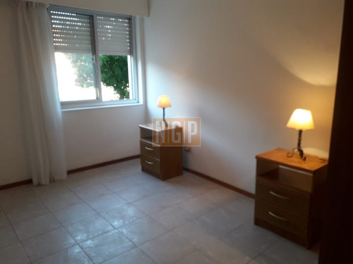 Imagen 6 de 16 de Apartamento En Venta Con Renta En Maldonado +dos Dormitorios +oportunidad