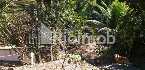 Imagem 3 de 11 de Terreno - Ref: 3007