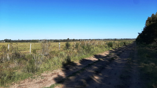 Imagen 7 de 18 de Hermosas Chacras Campos De 3 Hectareas En Tala