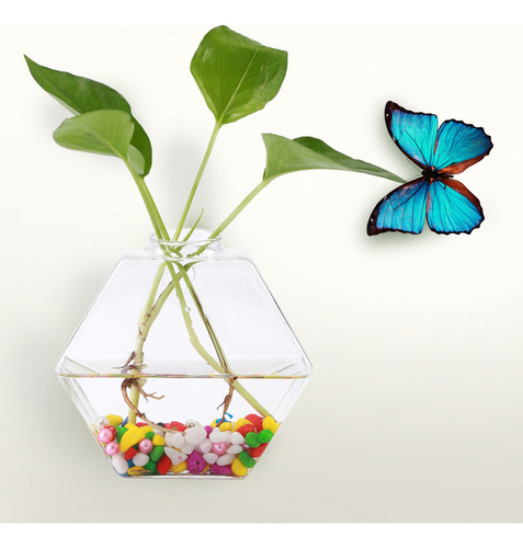 Plantas Colgantes Flores Florero Vidrio Acuario Hidropónico