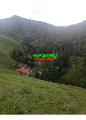Imagem 14 de 15 de Belo Sítio Em Marmelópolis - Mg - 1247