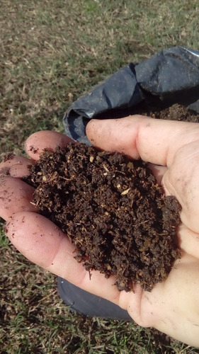 Imagen 2 de 4 de Tierra Negra De Bañado Abonada Consulte Envio Sin Costo
