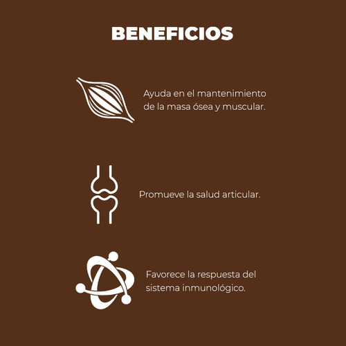 Alimento Nupec Nutrición Científica para perro senior todos los tamaños sabor mix en bolsa de 15kg
