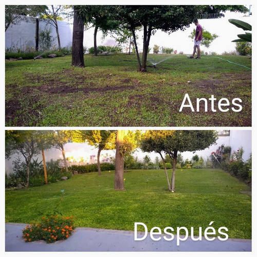 Imagen 5 de 5 de Sistemas De Riego Automatizado Paisajismo