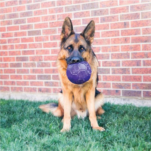 Imagen 3 de 8 de Kong Flexball Juguete Pelota Perros Large-