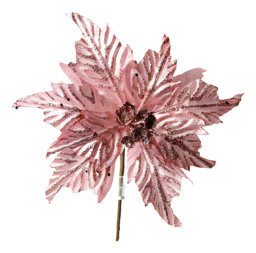 Poinsetia Rs 20cm