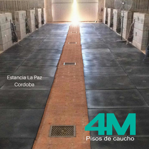 Pisos De Caucho Establos Caminador Hípico Trailer 1x1m 2cm Negro