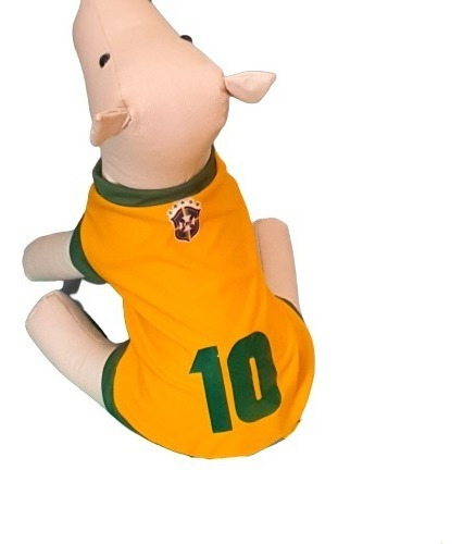 Roupinha Cachorro Camisa Copa Personalizado Com Nome Tam 4