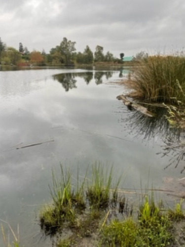 Terreno Laguna Avendaño Loteo Antupahuil