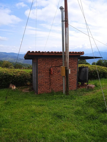 Imagen 6 de 30 de José Herrera Vende Finca En Edo. Tachira.(cod. Plf-002)