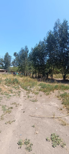 ¡gran Oportunidad! Parcela 10,000m² En La Pintana