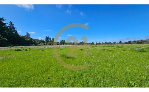 En Venta Terreno 2.9 Ha, Confluencia, Quillón