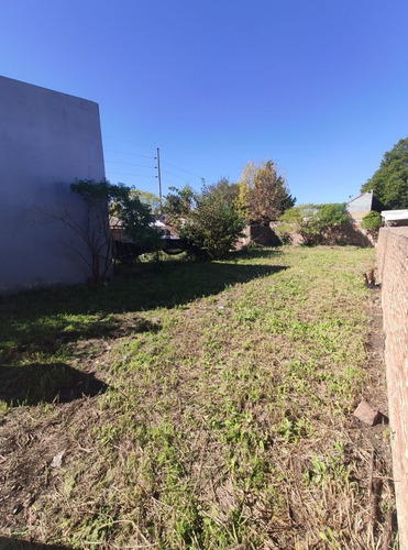 Imagen 2 de 11 de Lote 10x26 - 42 Bis E/ 183 Y 184